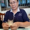 dararat_079